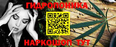 стафф Гусев