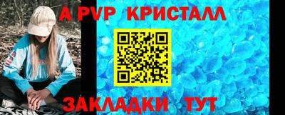 стафф Гусев