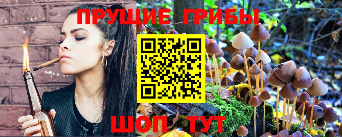 Минусинск  Галлюциногенные грибы Magic Shrooms  Вход с VPN 