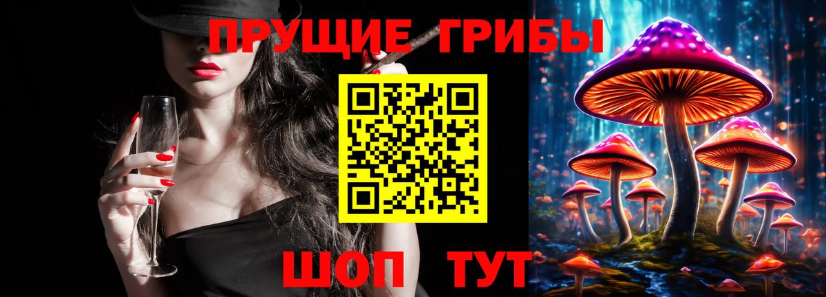 Псилоцибиновые грибы мицелий Минусинск